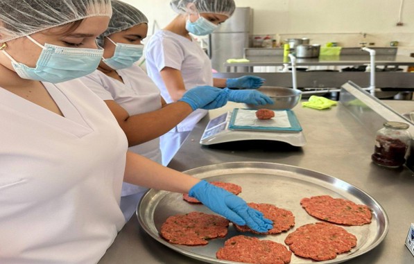 Procesos Productivos e Inspección en la Industria Alimentaria CTPH